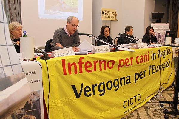 Pressekonferenz - 4. März 2010 - Hundehölle in Apulien